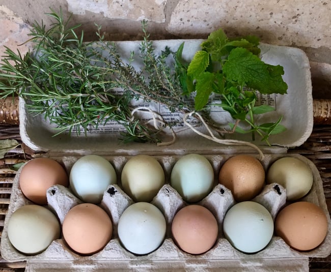 Duck Eggs (dozen) - Farmstead Foods