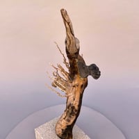 Image 3 of Rascal (la Picara)