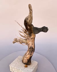 Image 4 of Rascal (la Picara)