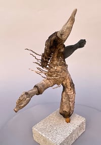 Image 5 of Rascal (la Picara)