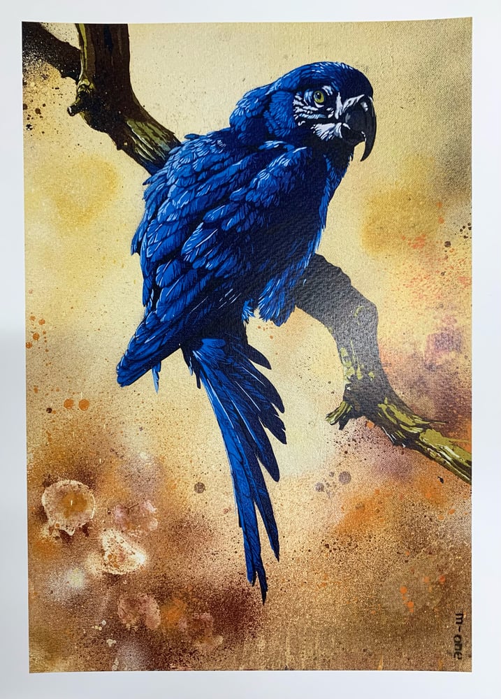 Image of Blue Macaw