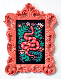 Little Hiss in coral frame