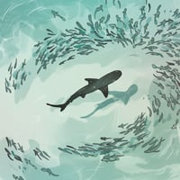 Shark - Mini print