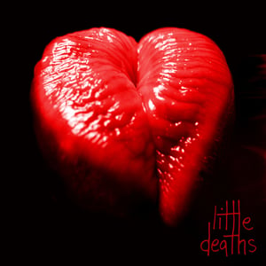 Image of Gundogs - Little Deaths - Limited Edition CD Album 