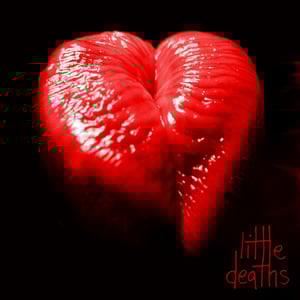 Image of Gundogs - Little Deaths - Limited Edition CD Album