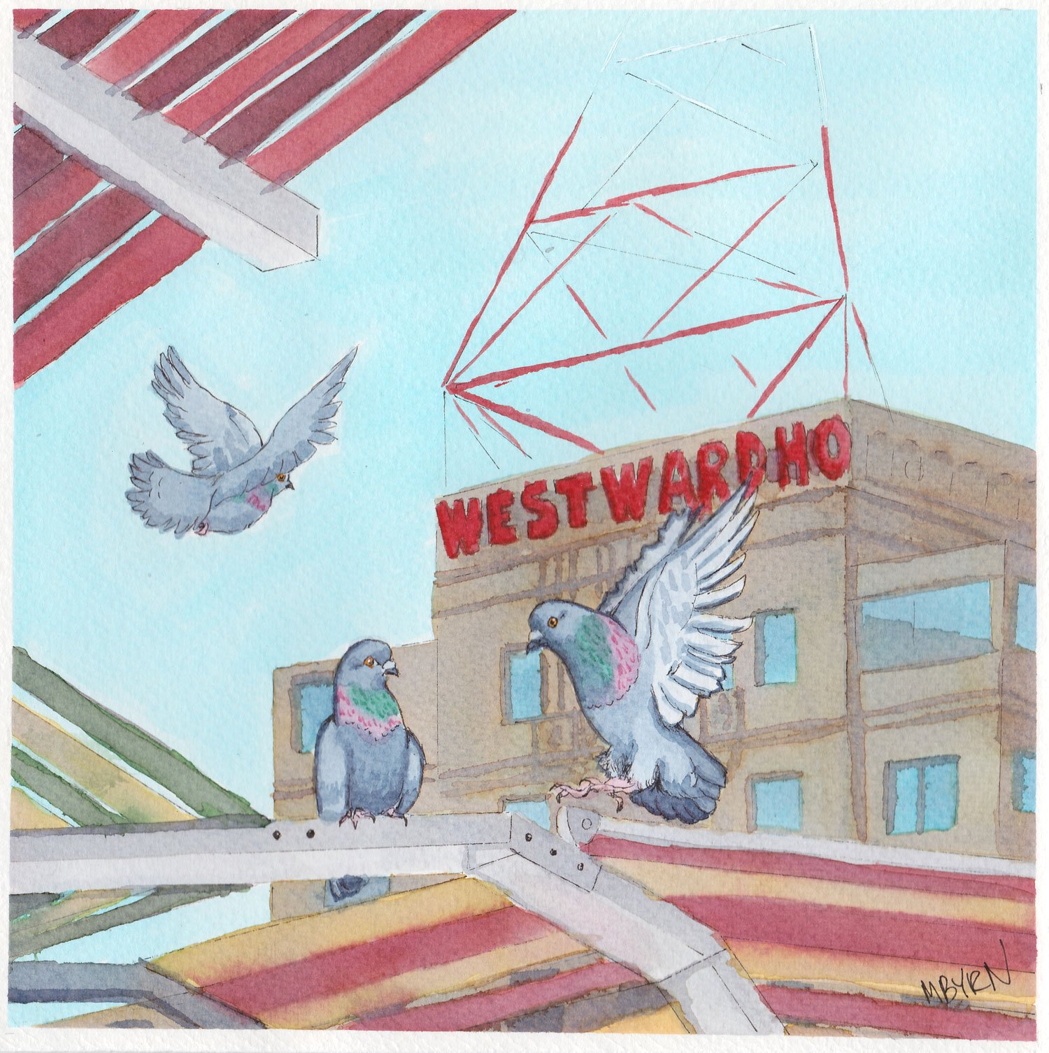 Westward Ho Pigeons