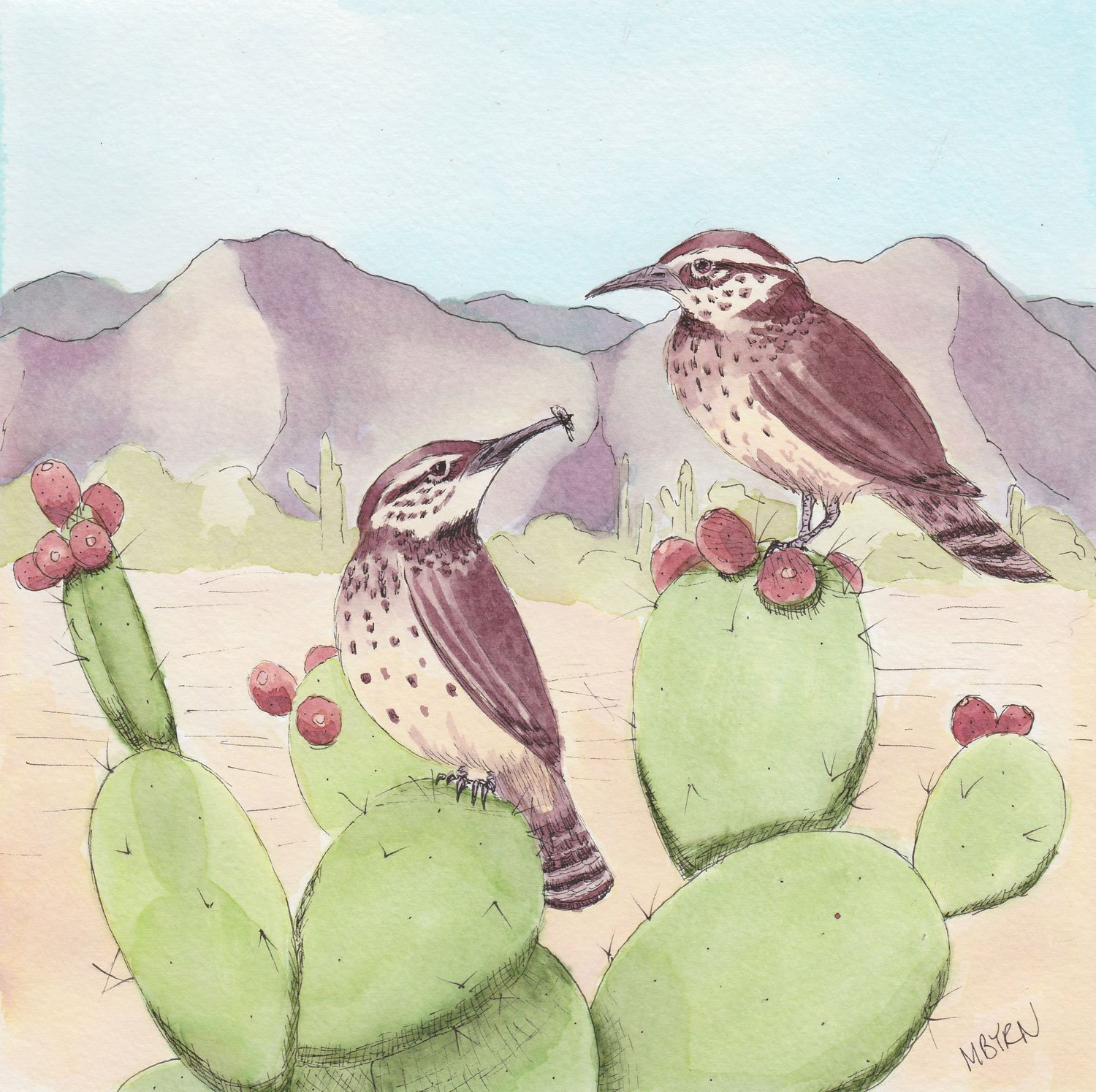 Cactus Wrens and Prickly Pear