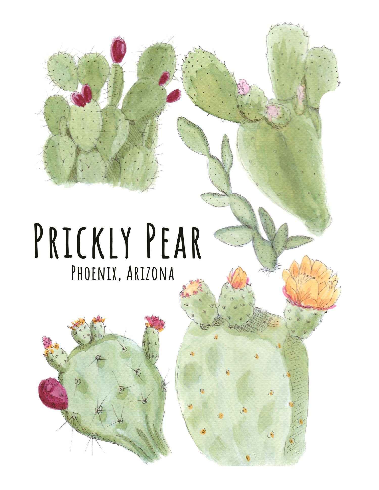 Prickly Pear Giclee Print