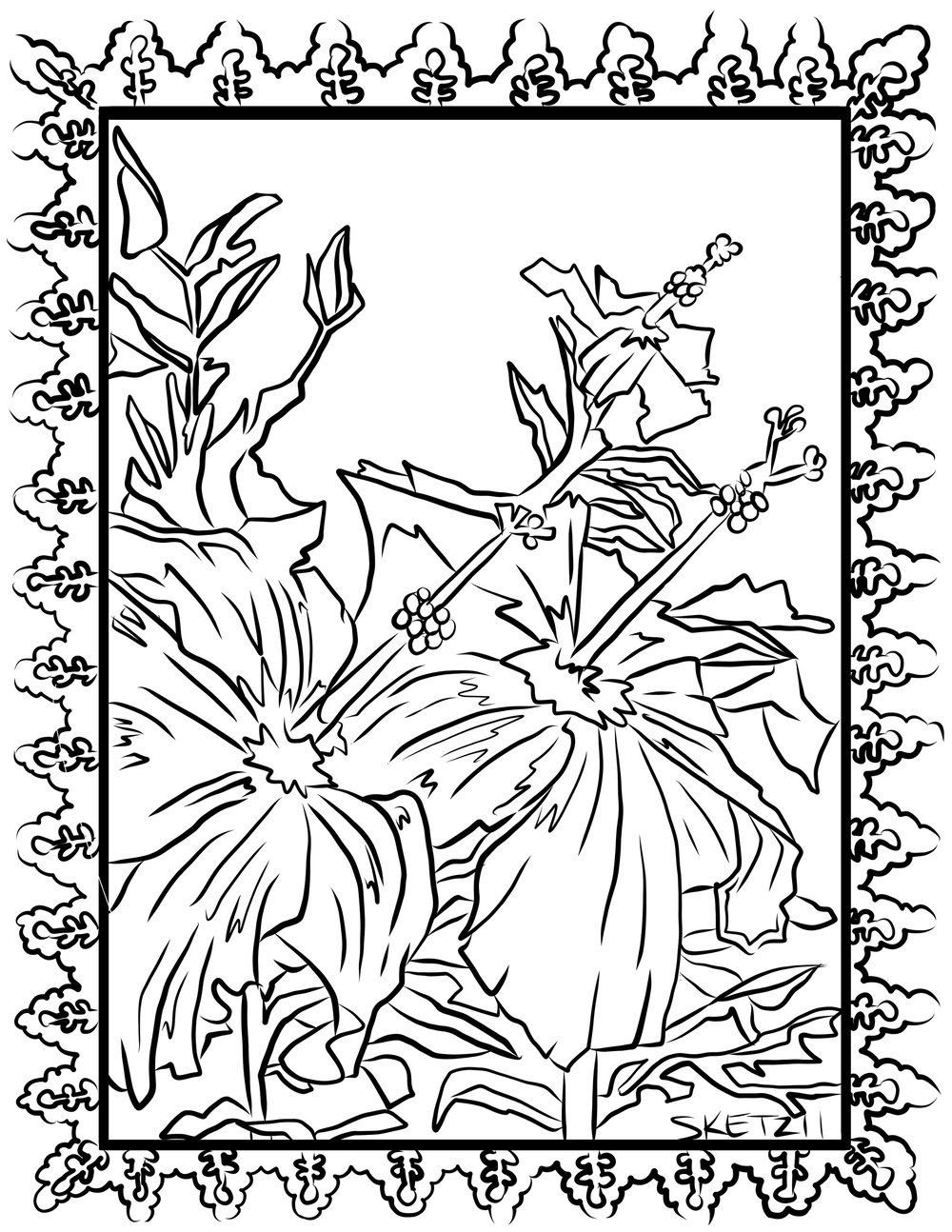 "Colores De Mi Tierra" Coloring Book