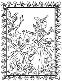 Image 3 of "Colores De Mi Tierra" Coloring Book