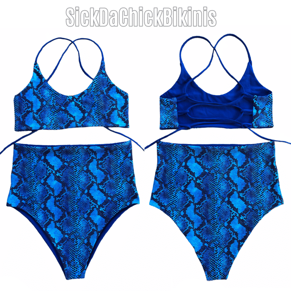 Image of Royal blue snake x Royal blue 