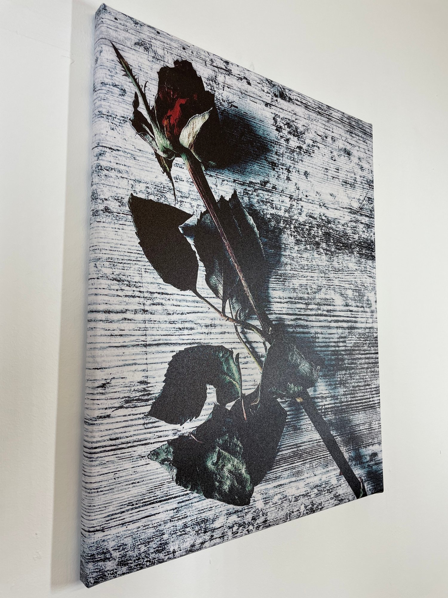 Image of Vintage Rose (40x50)