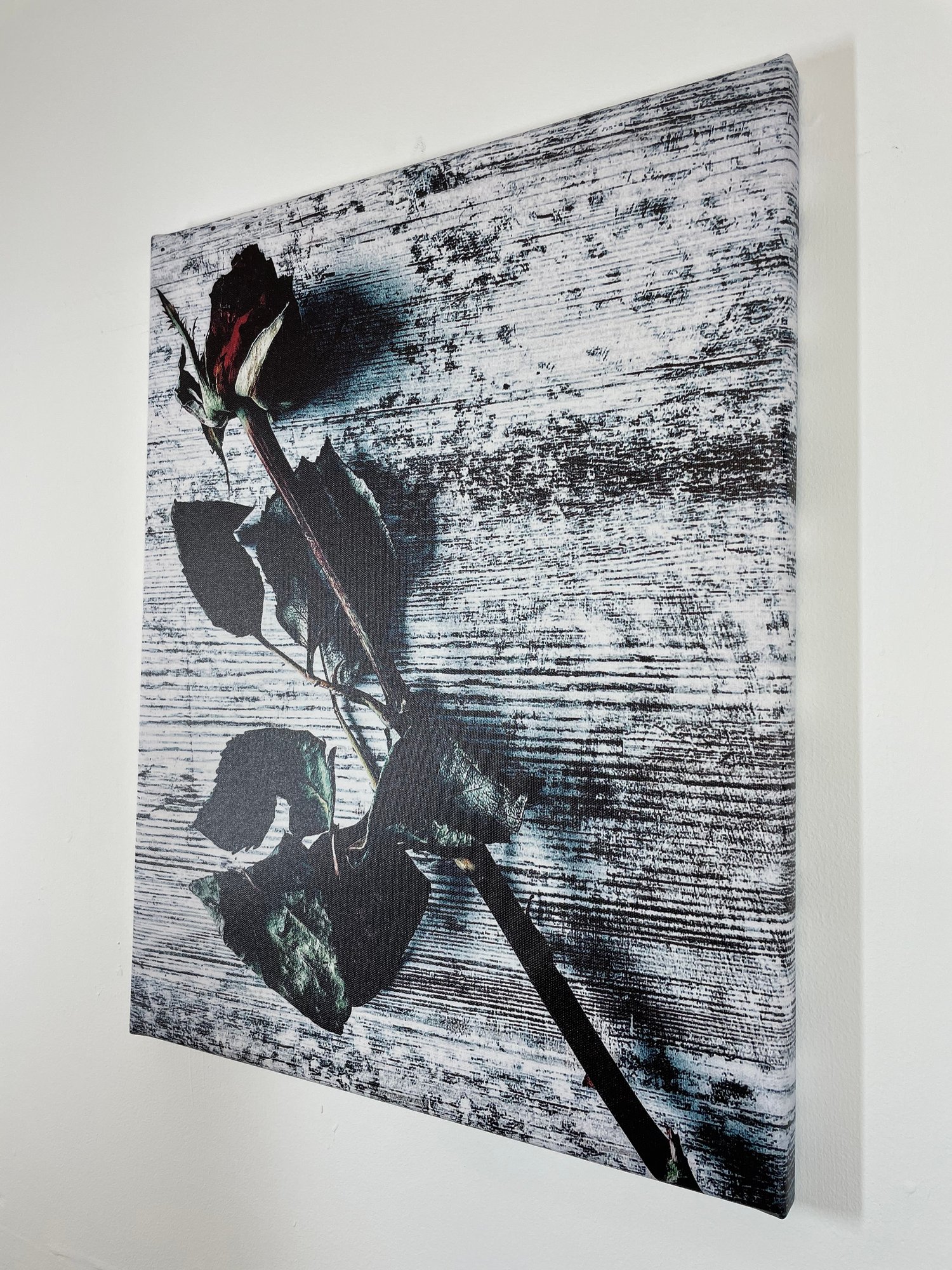 Image of Vintage Rose (40x50)