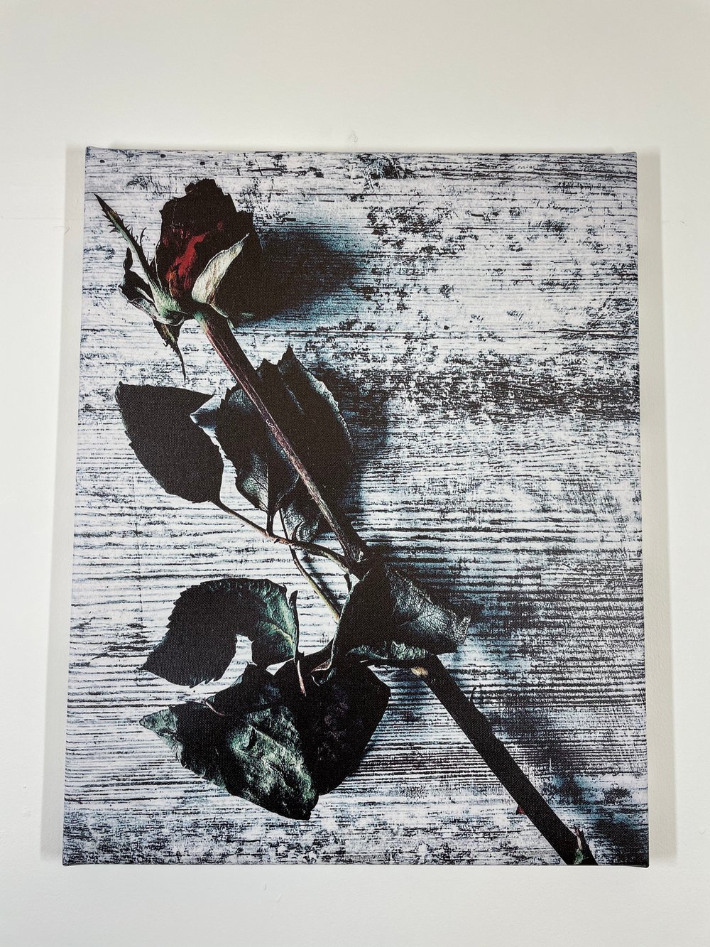 Image of Vintage Rose (40x50)