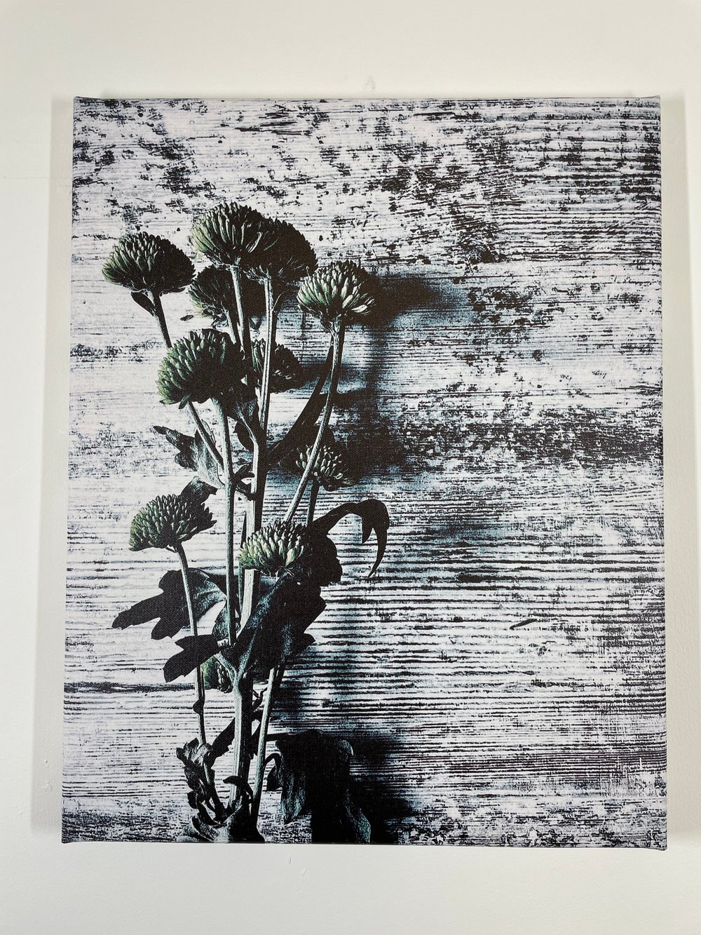 Image of Vintage Shadows (40x50)