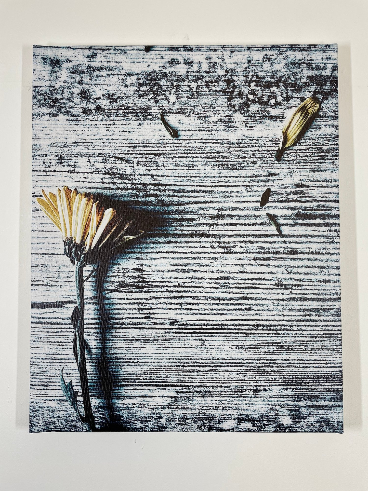 Image of Vintage Breeze (40x50)