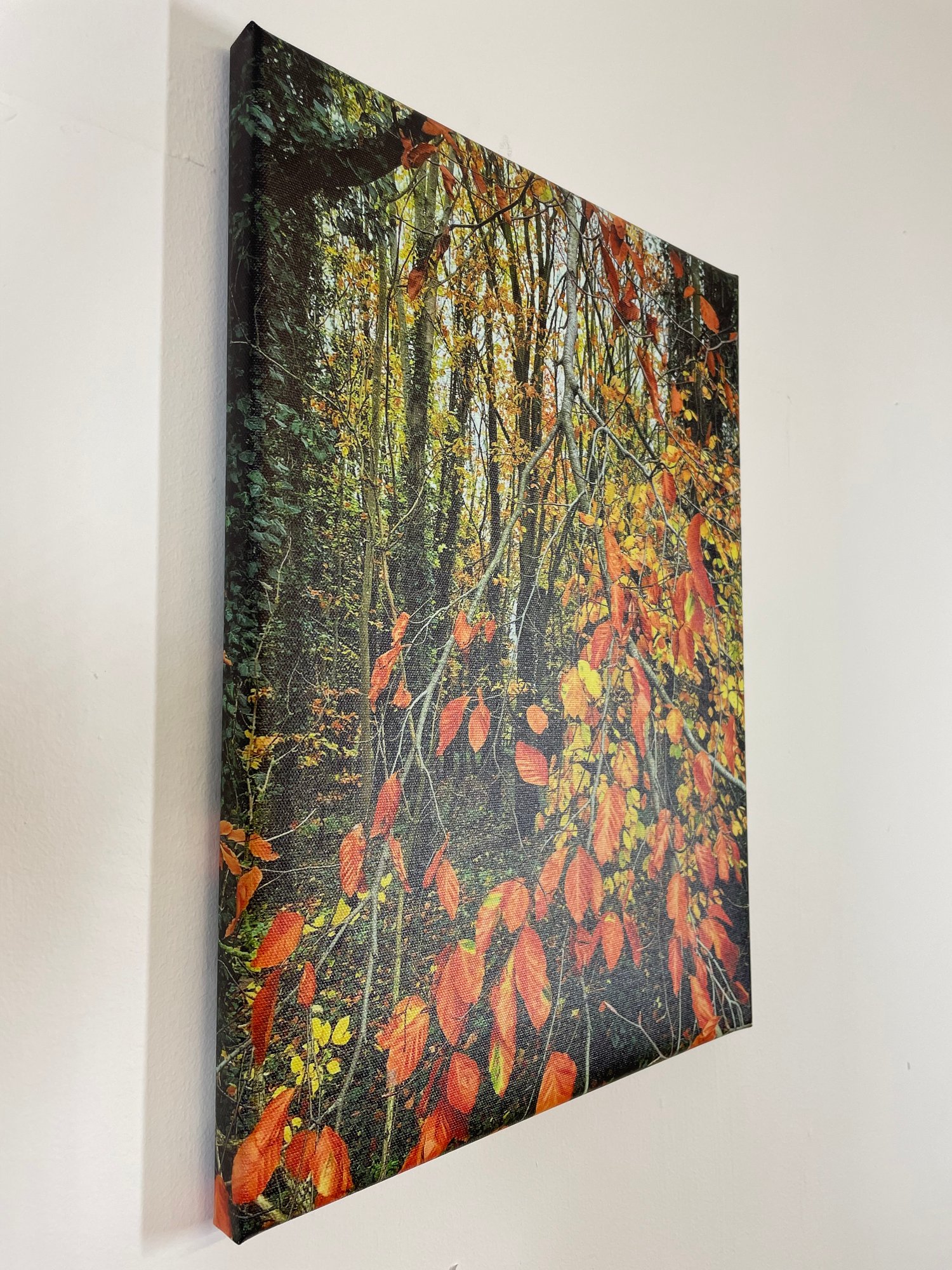 Image of Fire Tree (30x40)