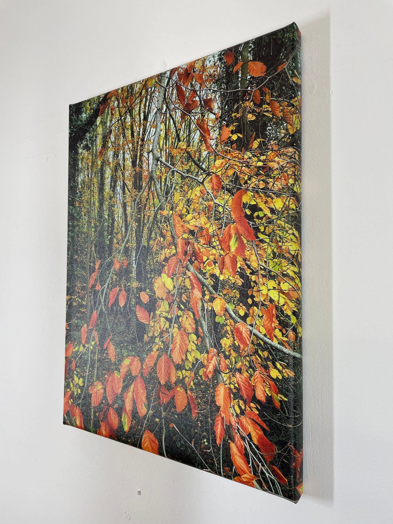 Image of Fire Tree (30x40)