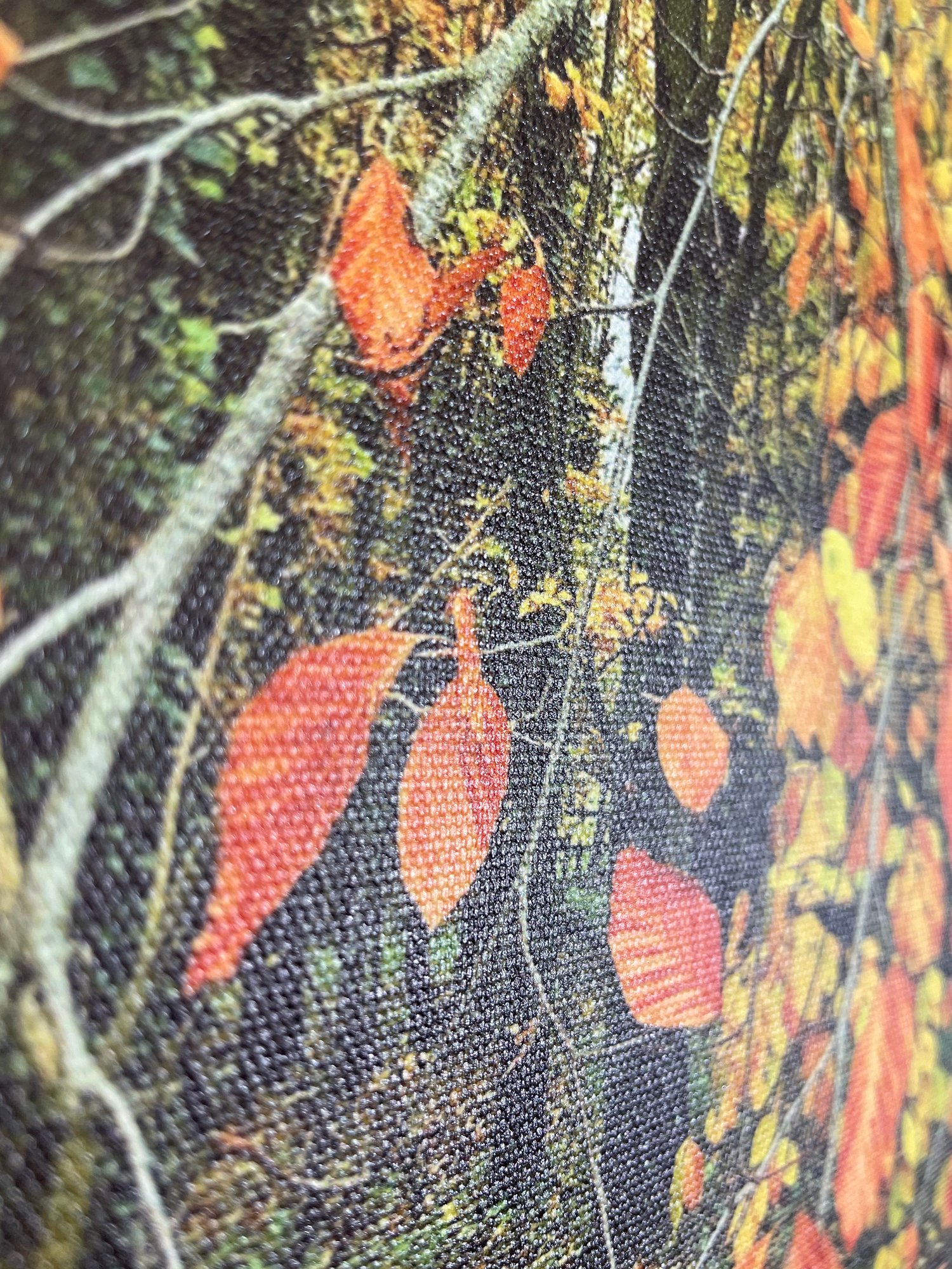 Image of Fire Tree (30x40)