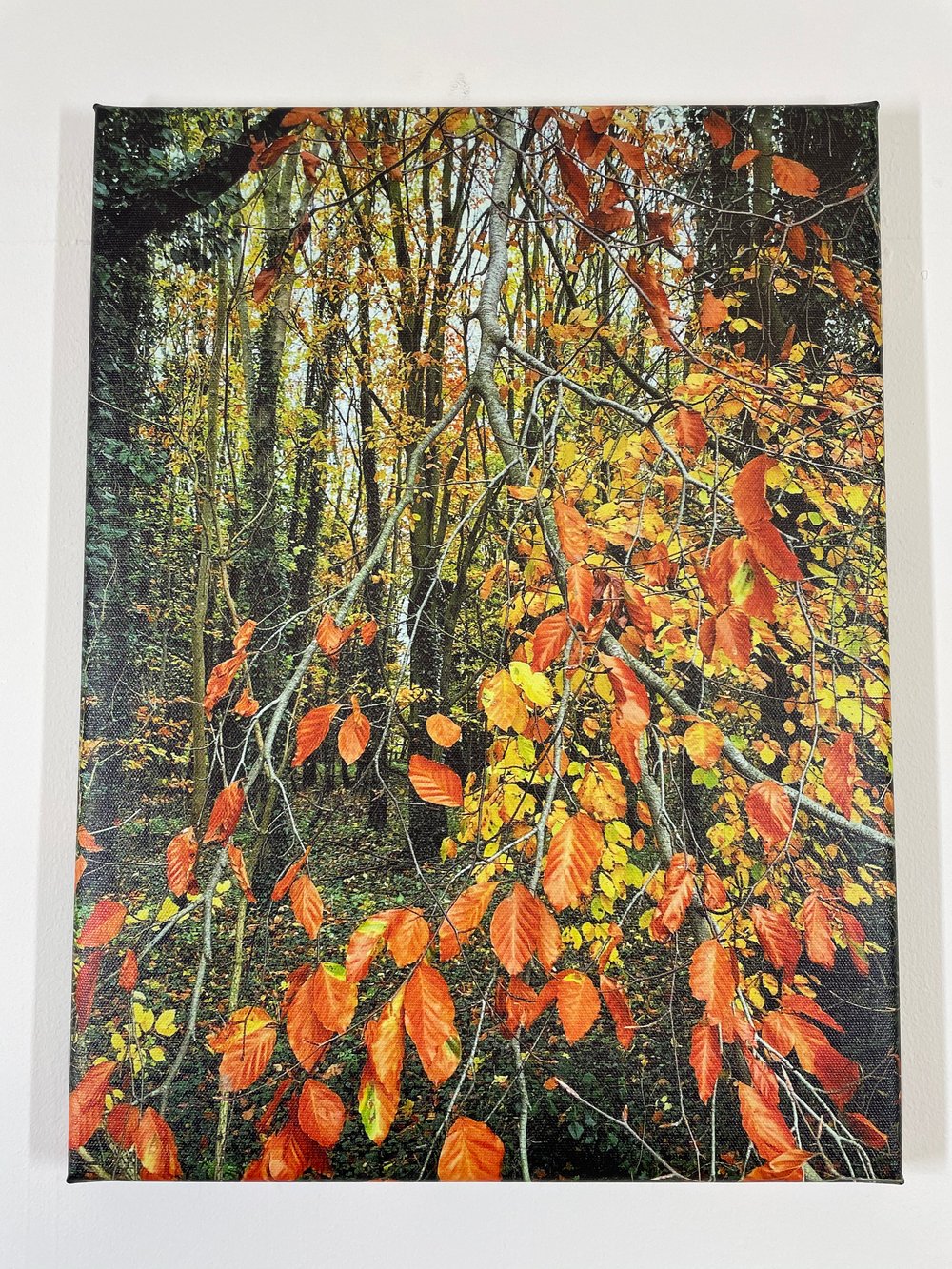 Image of Fire Tree (30x40)