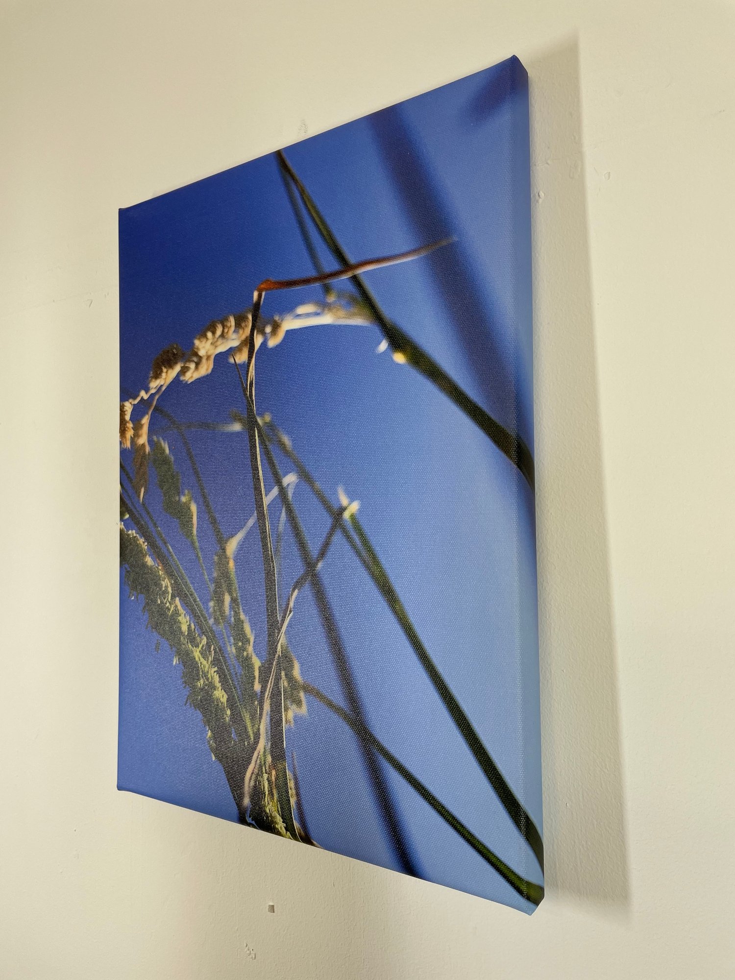 Image of Summer Blue (30x40)
