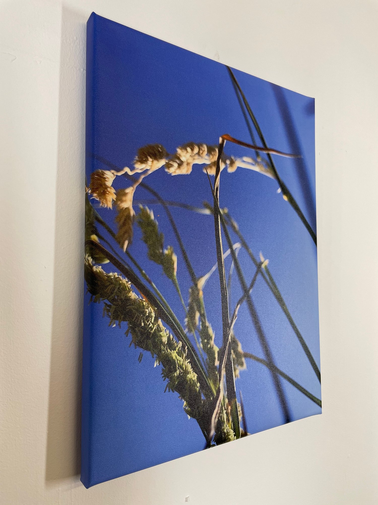 Image of Summer Blue (30x40)