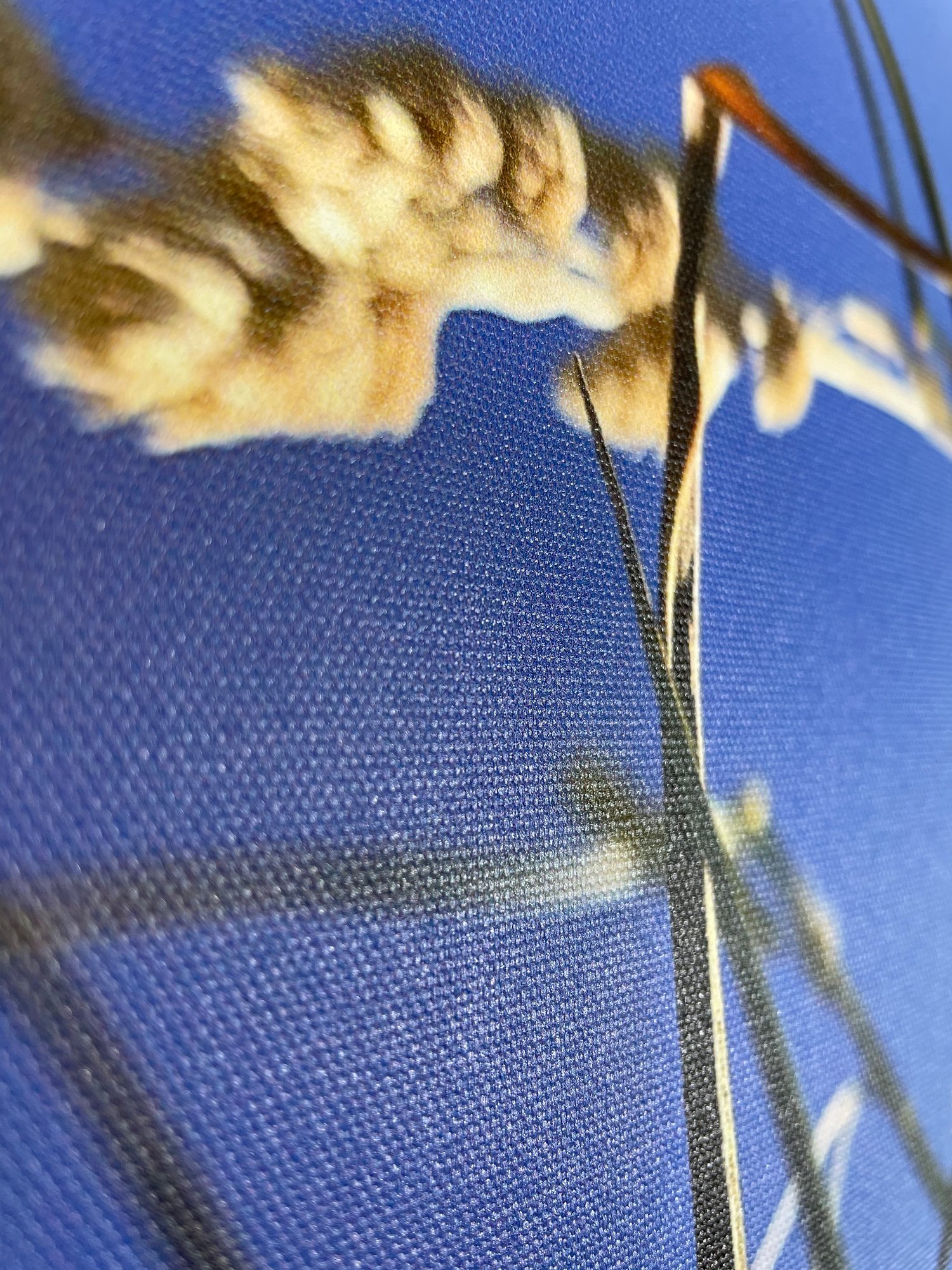 Image of Summer Blue (30x40)