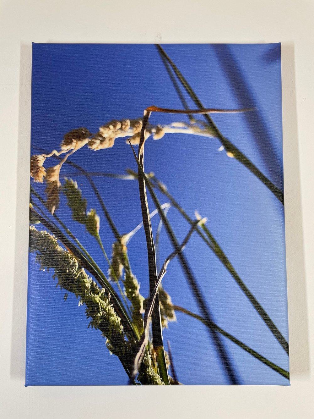 Image of Summer Blue (30x40)