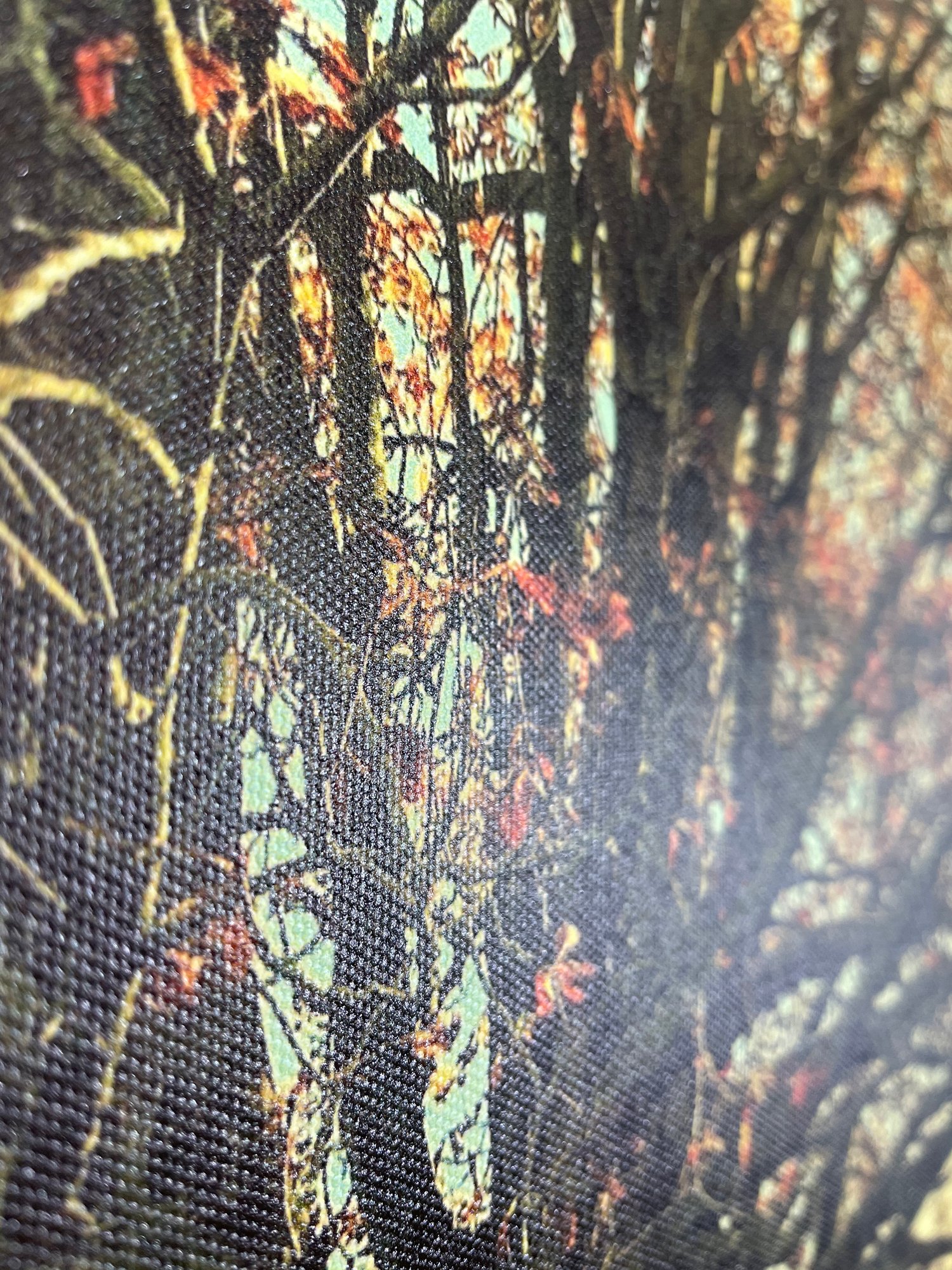 Image of Lazy Meadow (40x50)