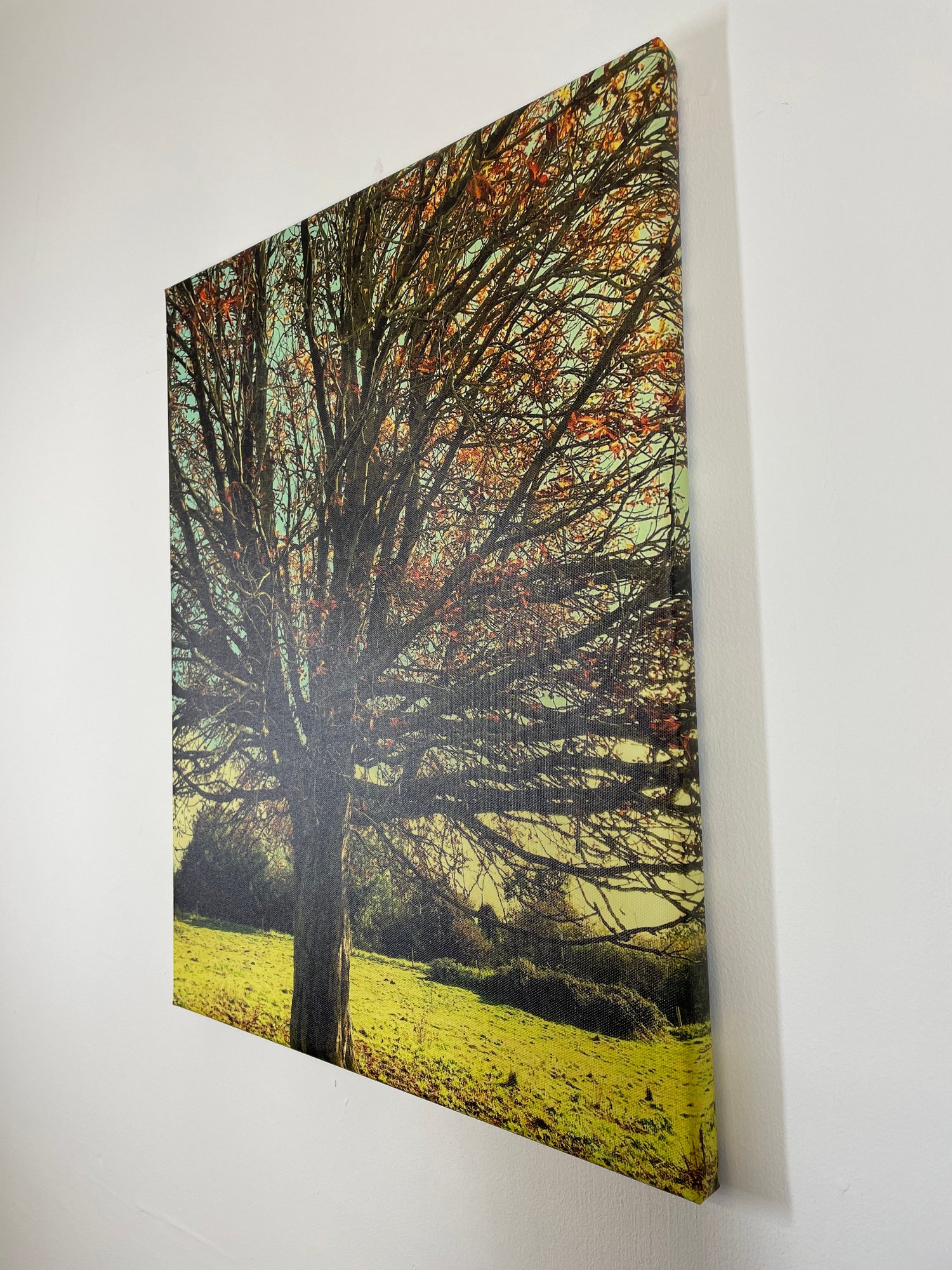 Image of Lazy Meadow (40x50)