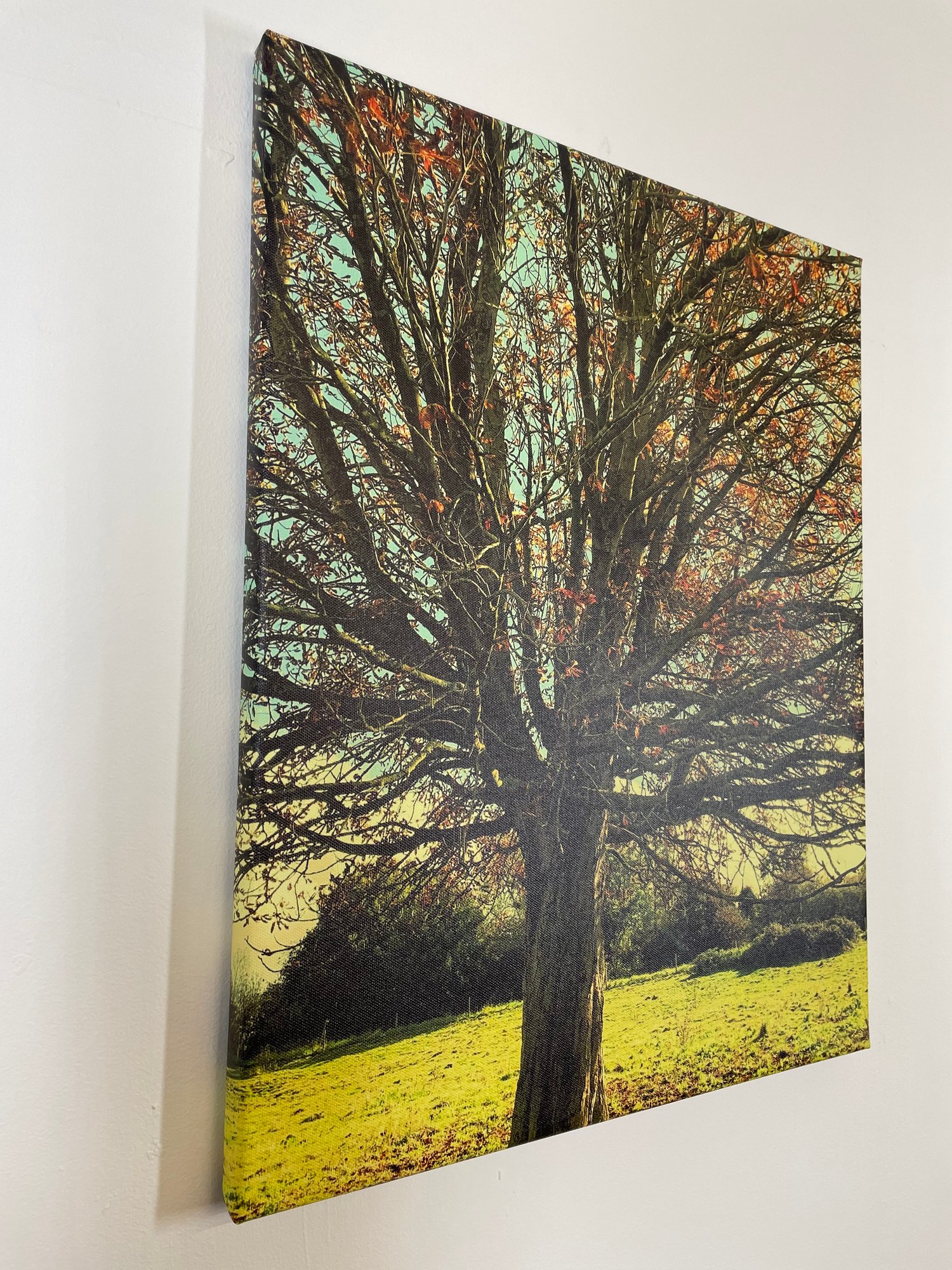 Image of Lazy Meadow (40x50)
