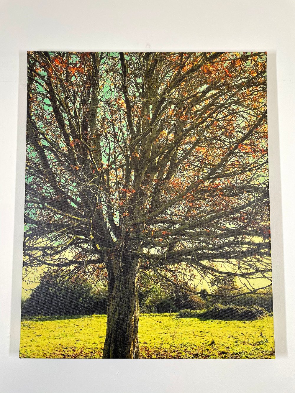 Image of Lazy Meadow (40x50)