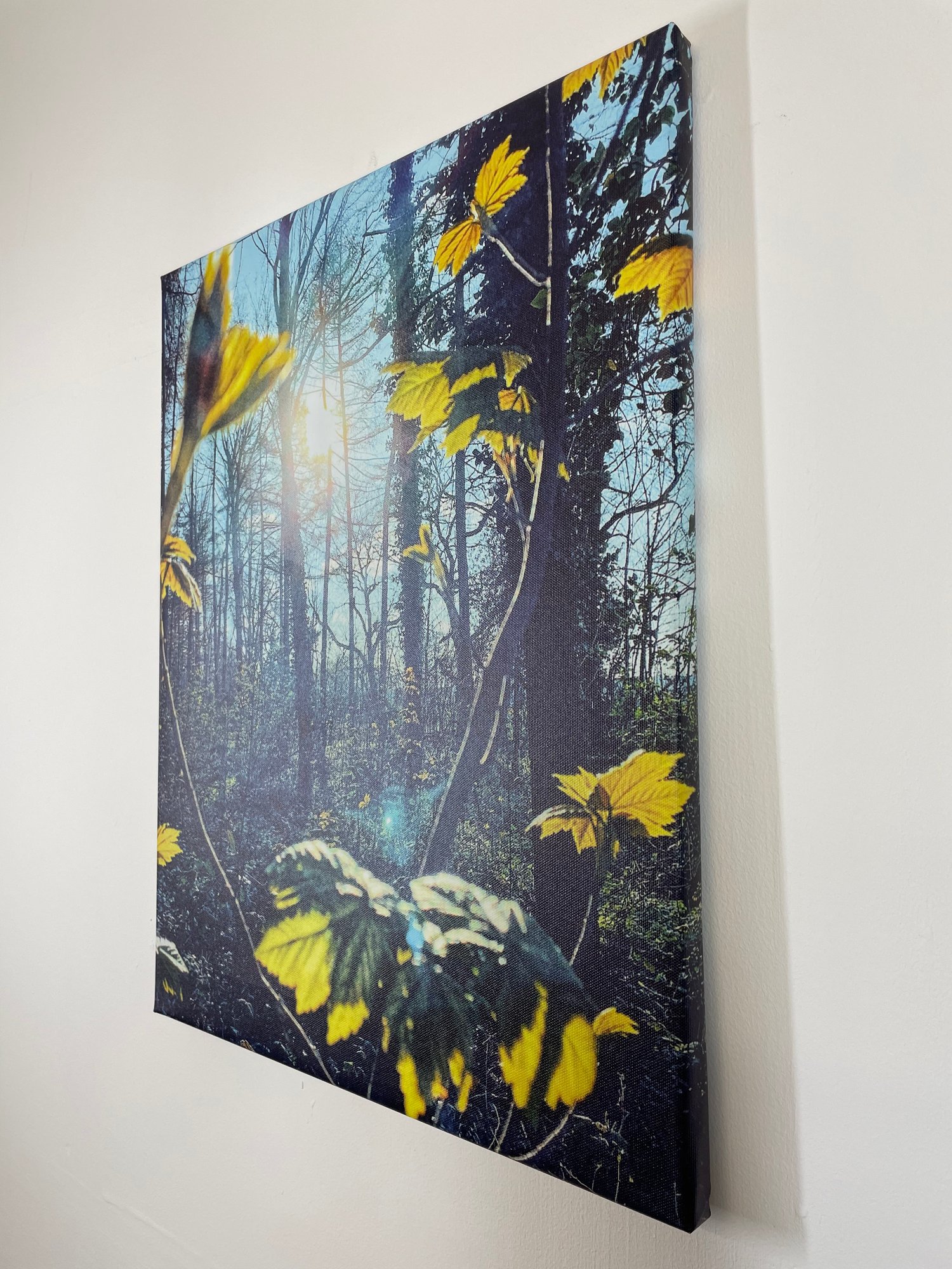 Image of Sprites And Lights (40x50)