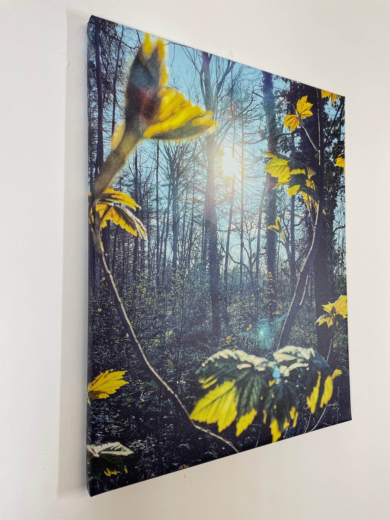 Image of Sprites And Lights (40x50)
