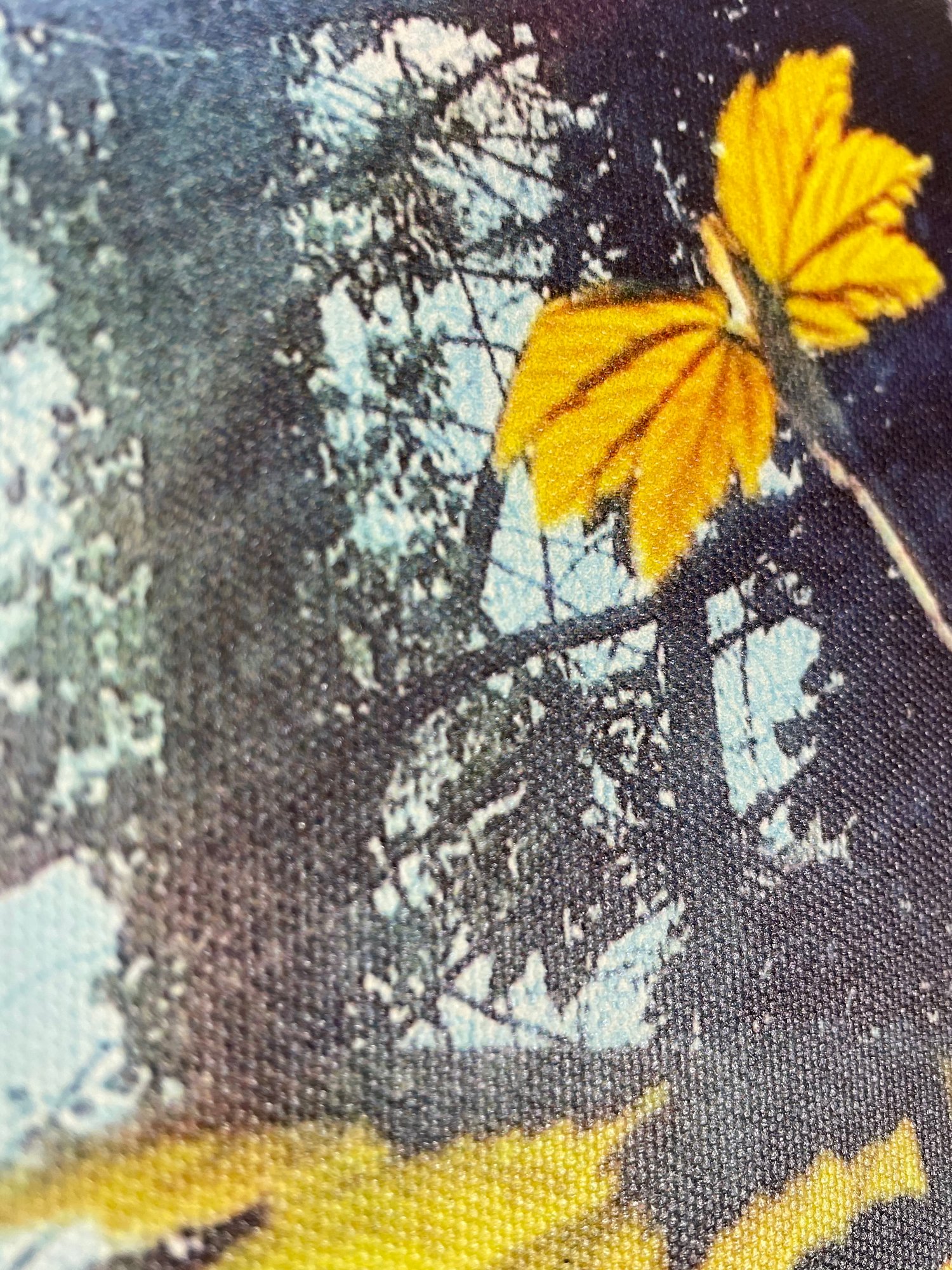 Image of Sprites And Lights (40x50)
