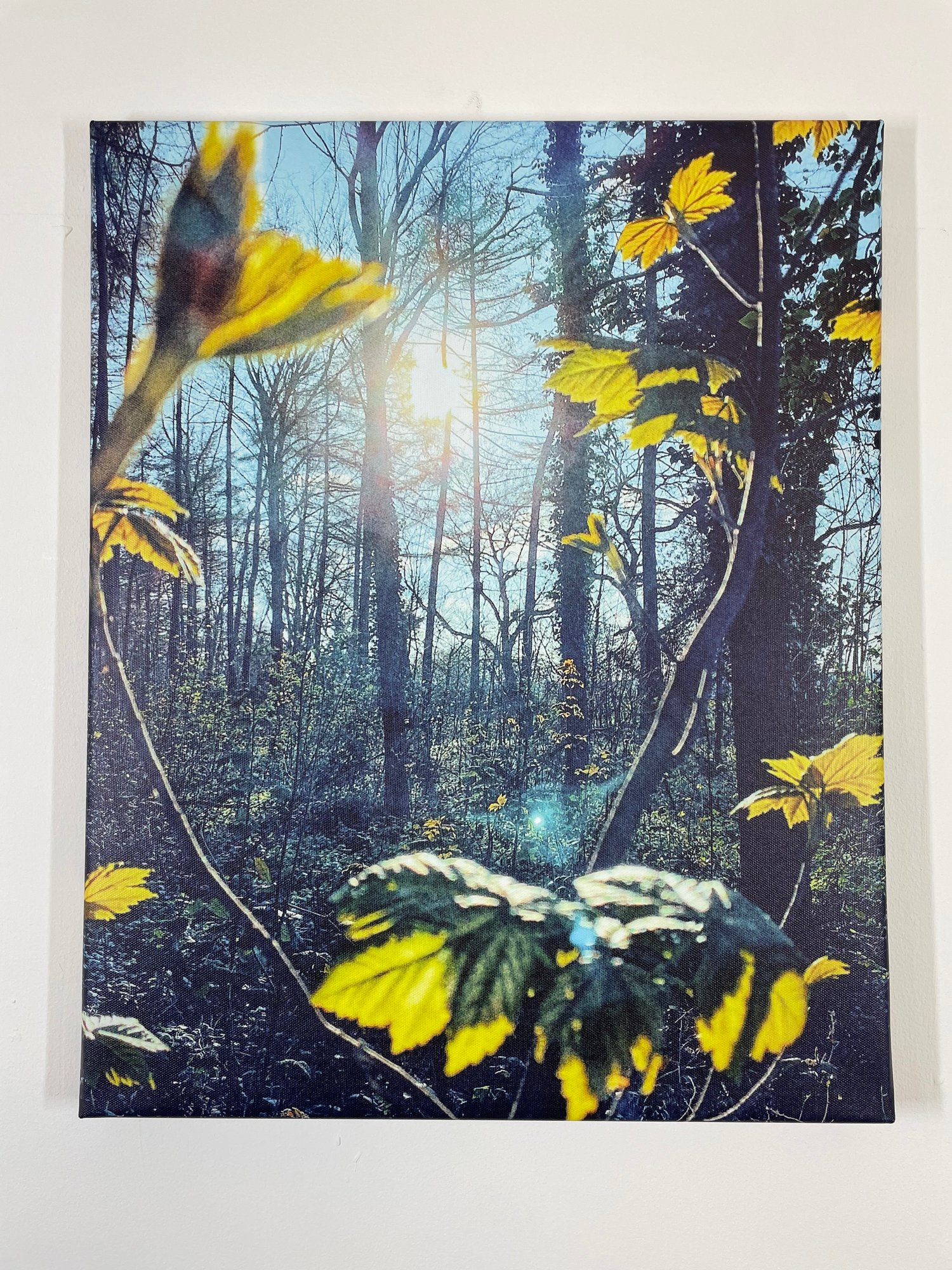 Image of Sprites And Lights (40x50)