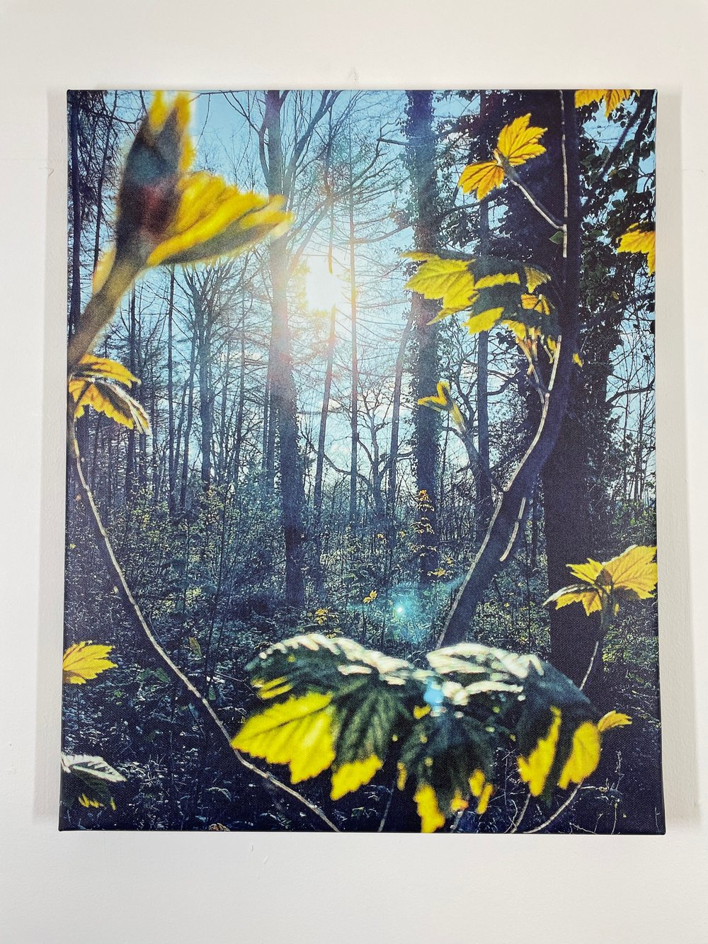 Image of Sprites And Lights (40x50)