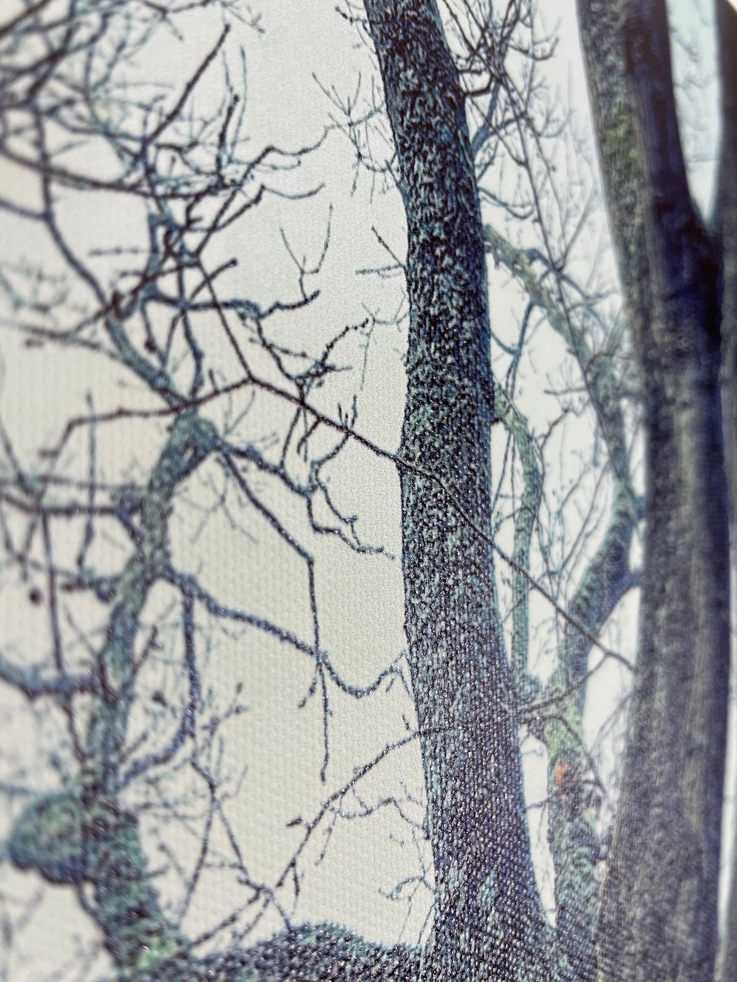 Image of Dot (40x50)