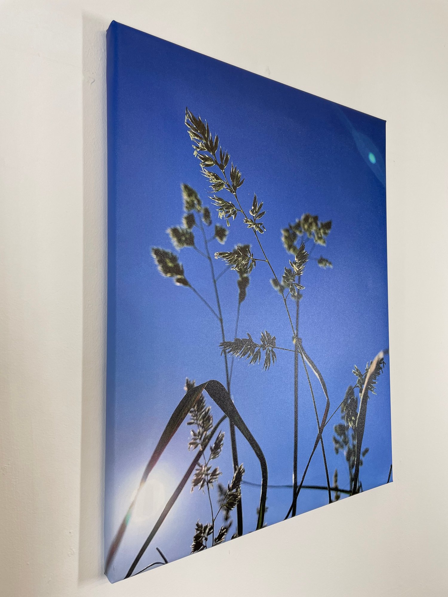 Image of Summer Sun (40x50)