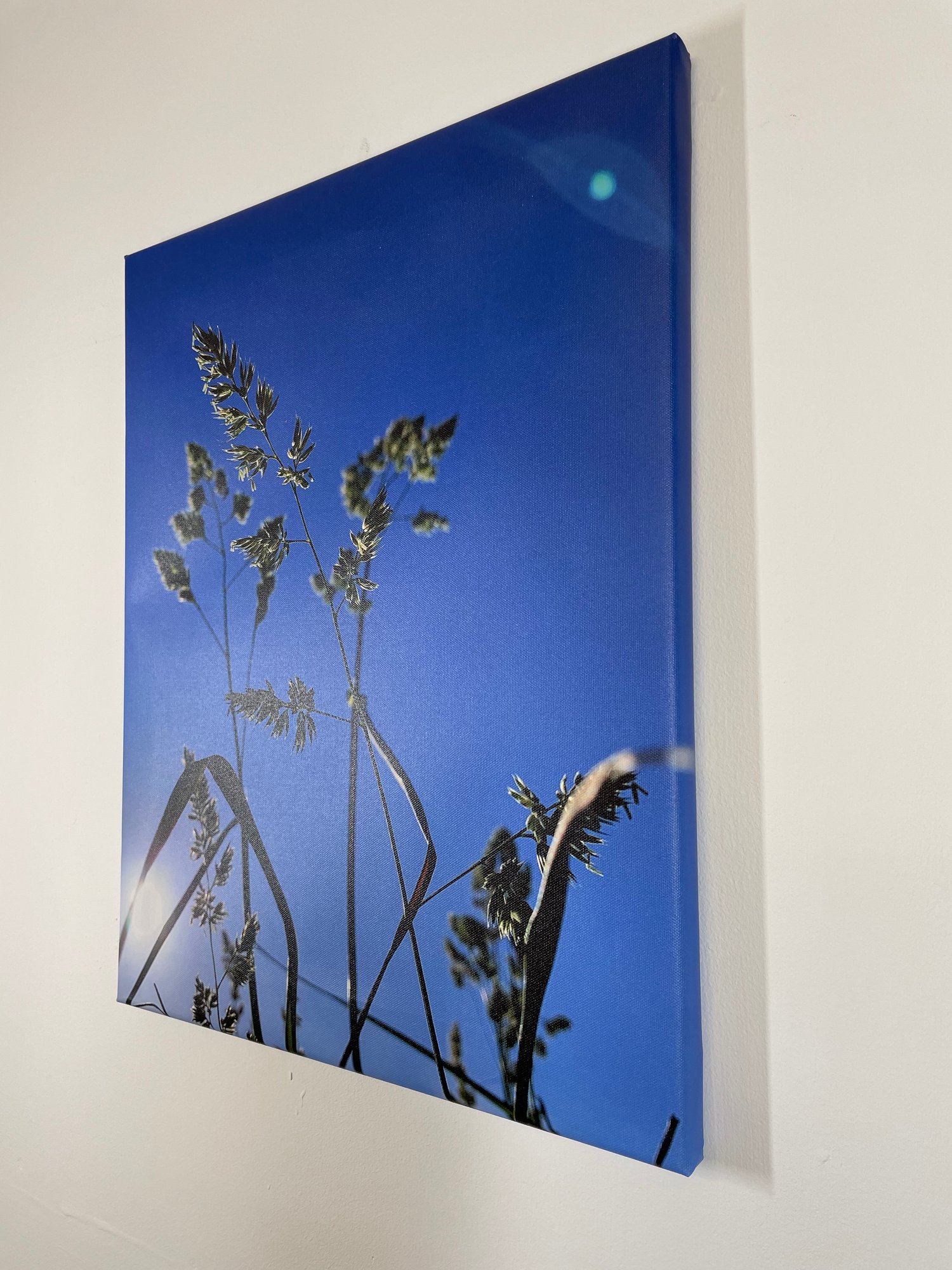 Image of Summer Sun (40x50)