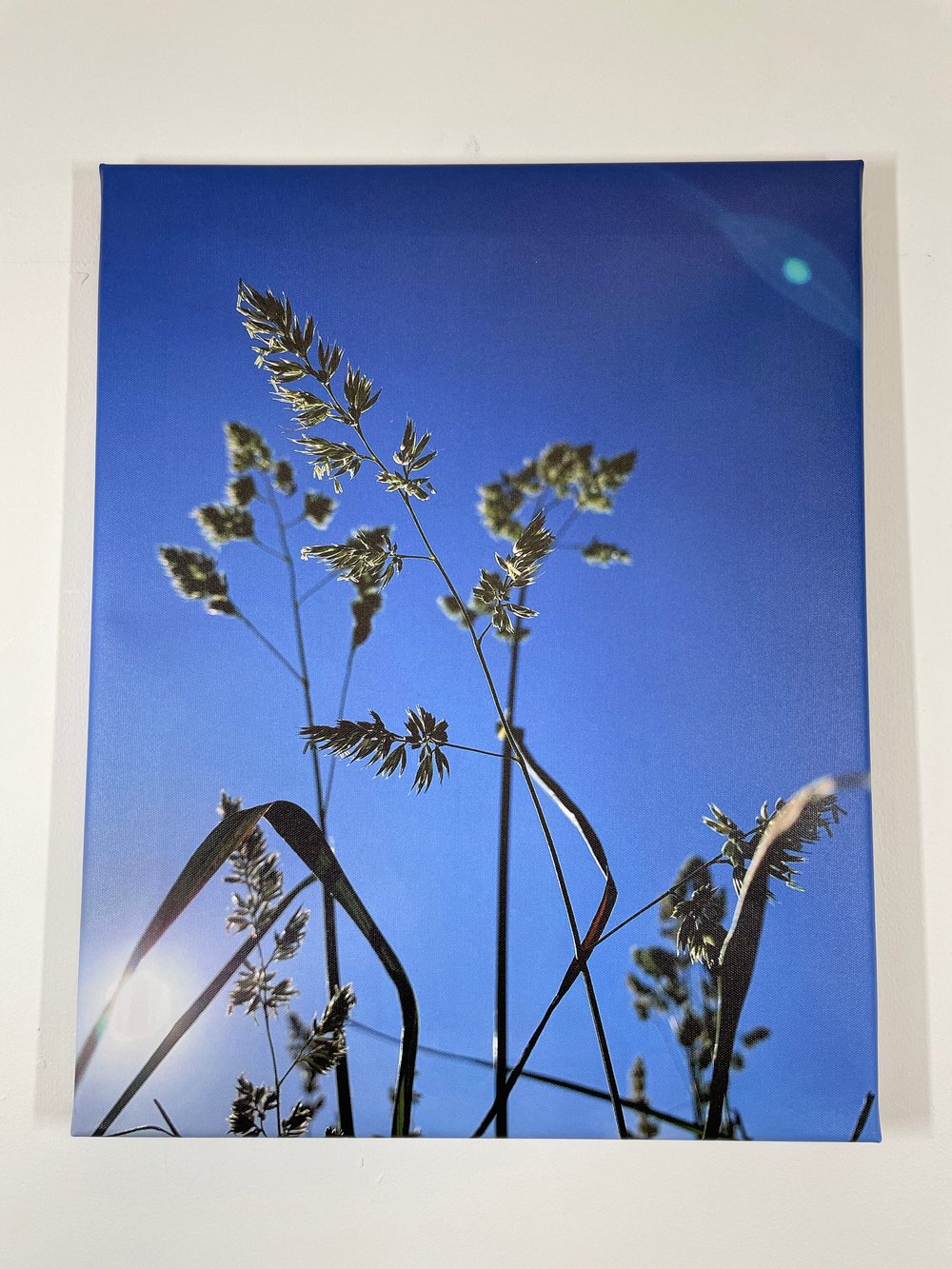 Image of Summer Sun (40x50)