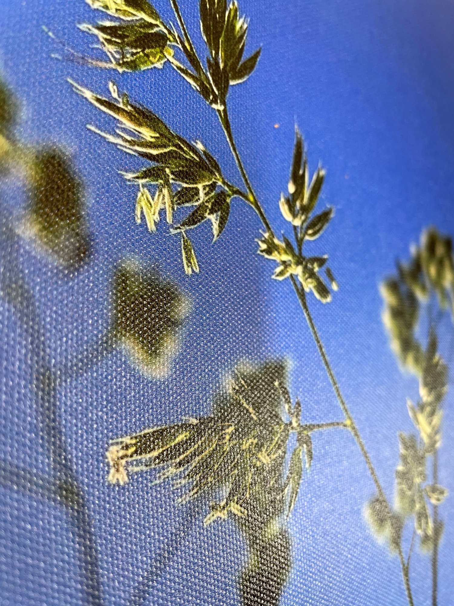 Image of Summer Sun (40x50)