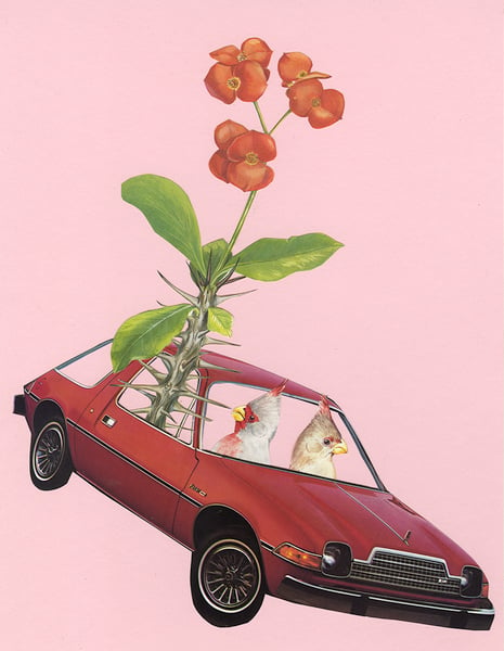 Image of A pair of Pyrrhuloxia in a Pacer with a prickly passenger. Limited edition collage print.