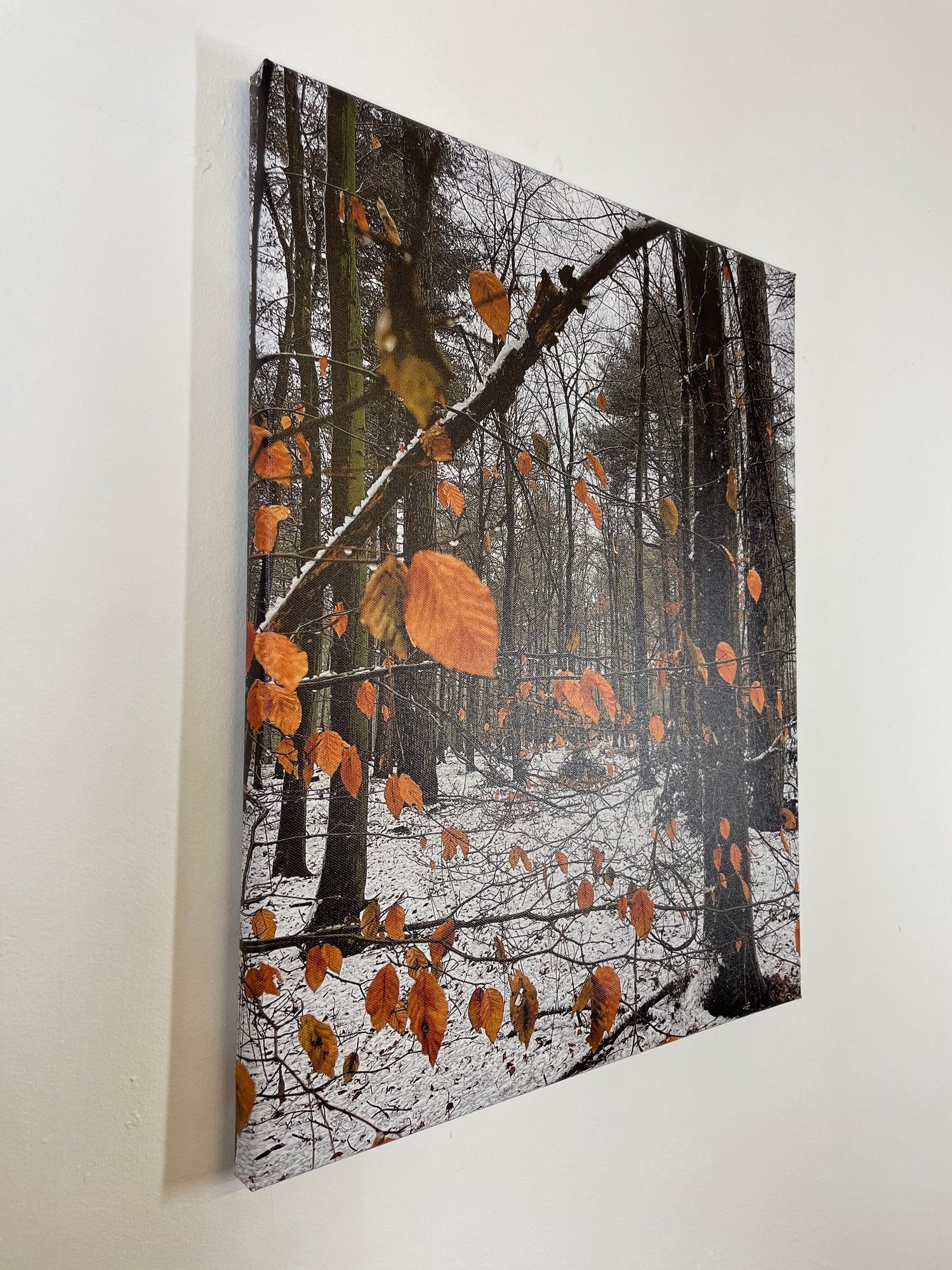 Image of Orange On Snow (40x50)