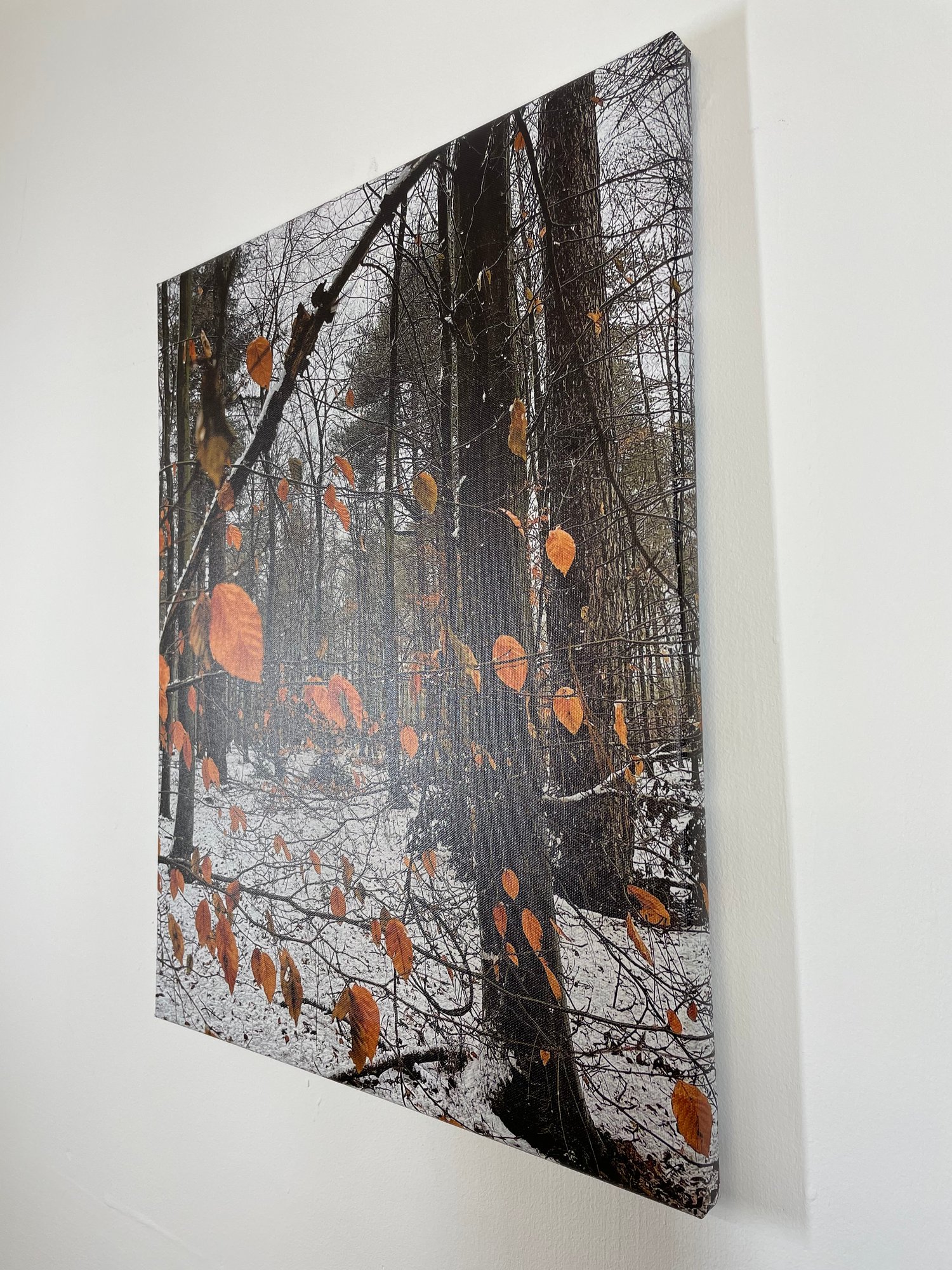 Image of Orange On Snow (40x50)