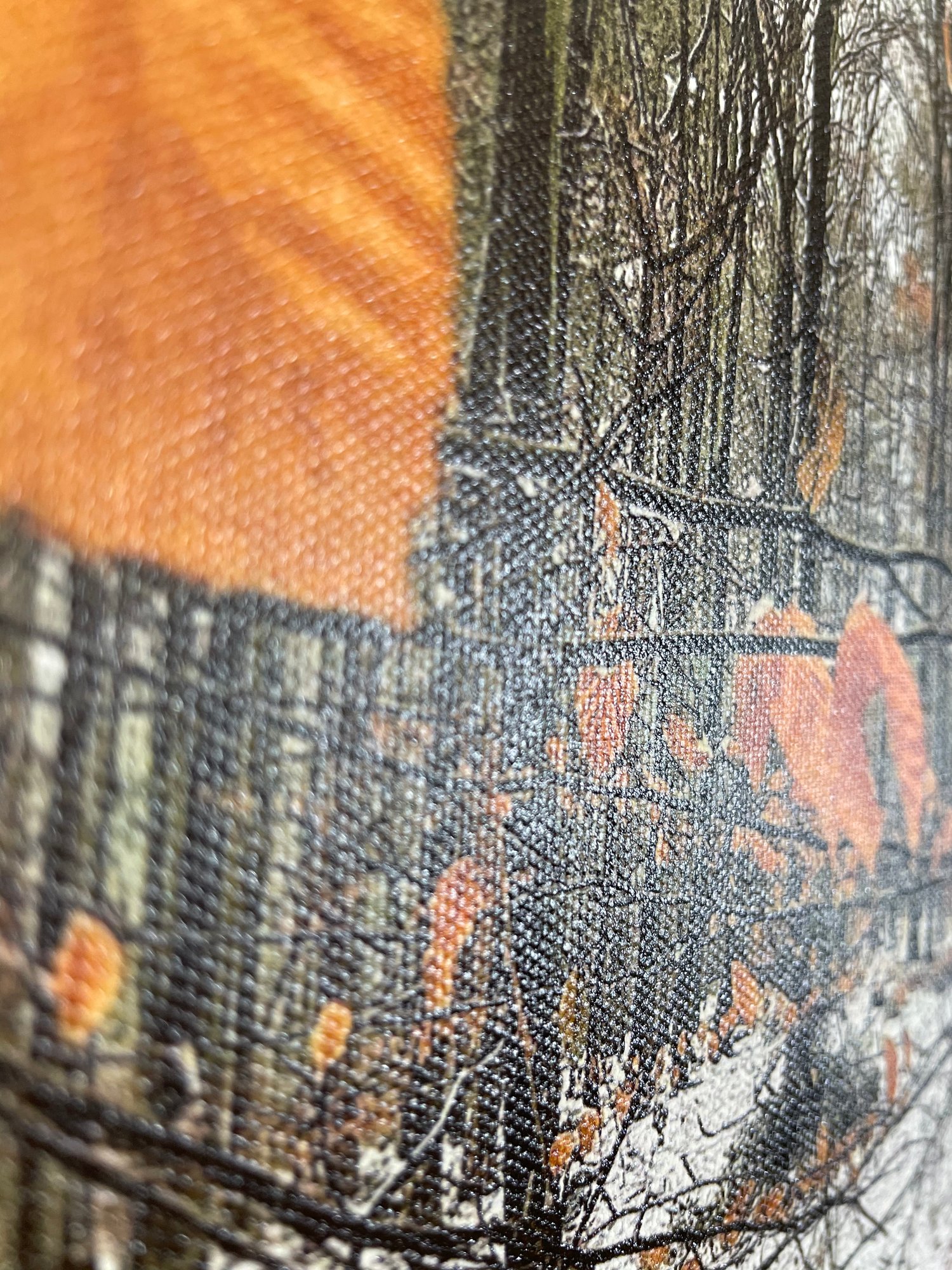 Image of Orange On Snow (40x50)