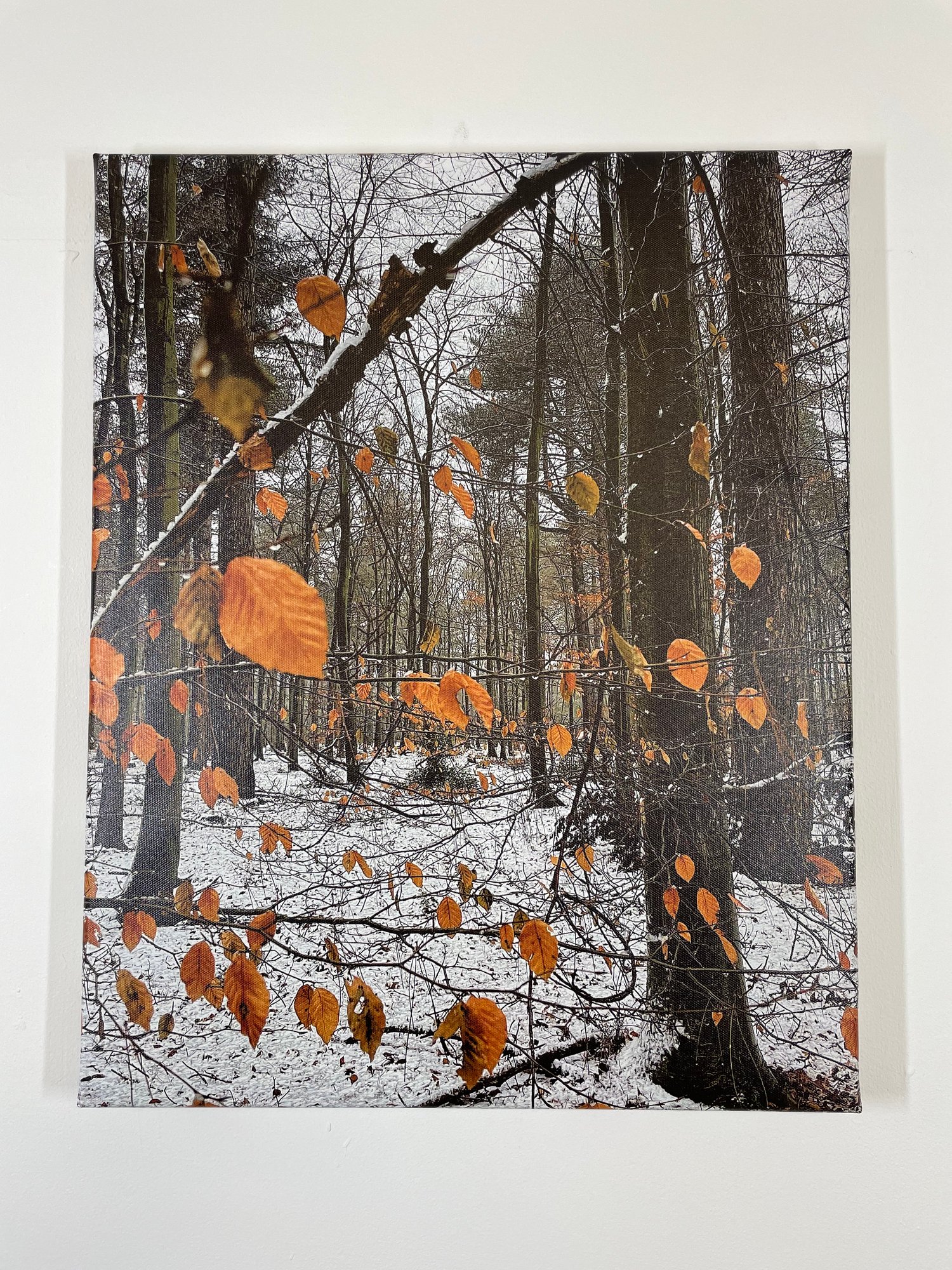 Image of Orange On Snow (40x50)