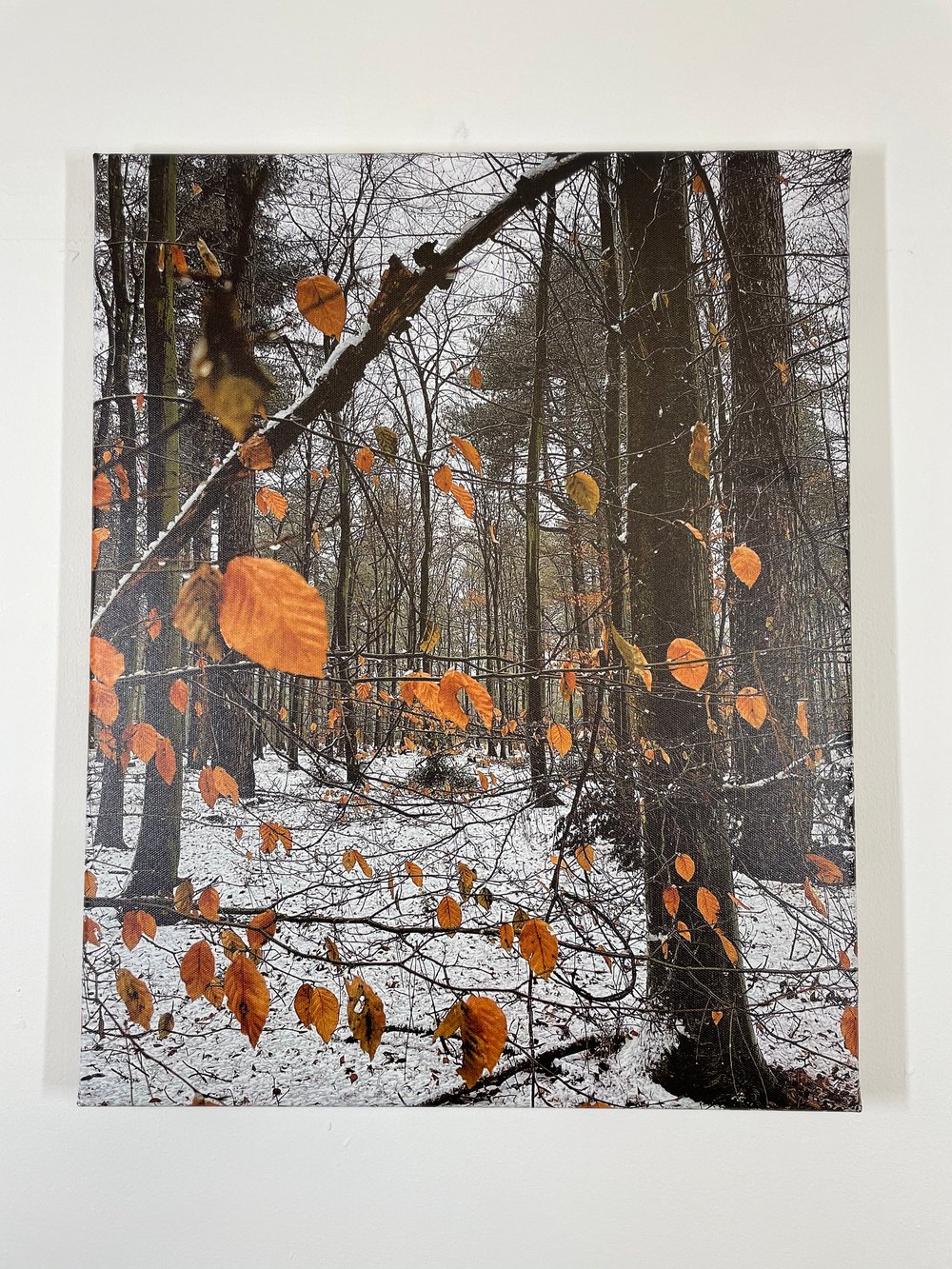 Image of Orange On Snow (40x50)