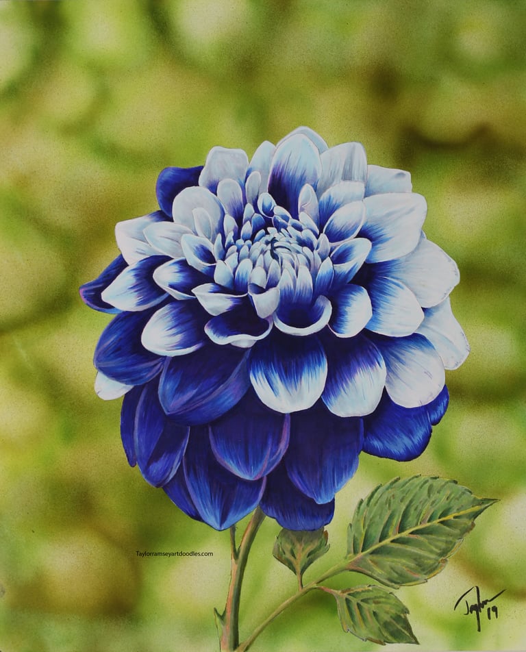 Floral--card set 3