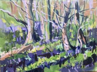 Early Blubells - Plein Air Study